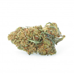 Vanilla Cake - NBSh Flowers - Easyweed