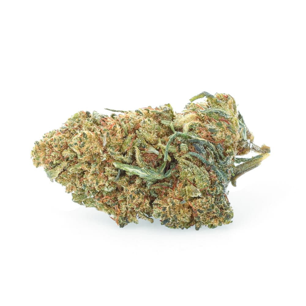 Vanilla Cake - NBSh Flowers - Easyweed