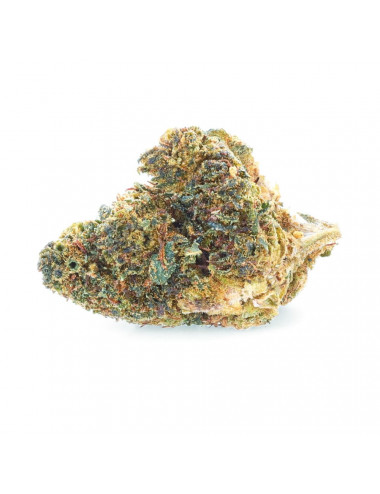 Sunset Punch - NBSh Flowers - Easyweed