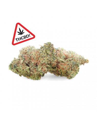 Jack Herer - THCBD Flower...