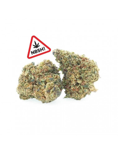 Sunset Punch - NBSh Flowers - Easyweed