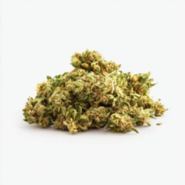 Pop Corn THCBD Ivory – Flower 12% CBD + 8% THCBD | Weedy.fr
