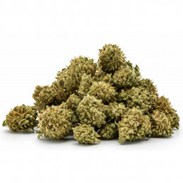 Mix Pops - CBD Flower - Easy Weed