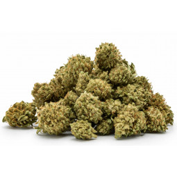 Amnesia Pops - CBD Flower...