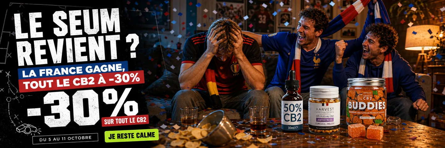 Soccer Game: France vs. Belgium Soccer Game: France vs. Belgium — CB2 -30%