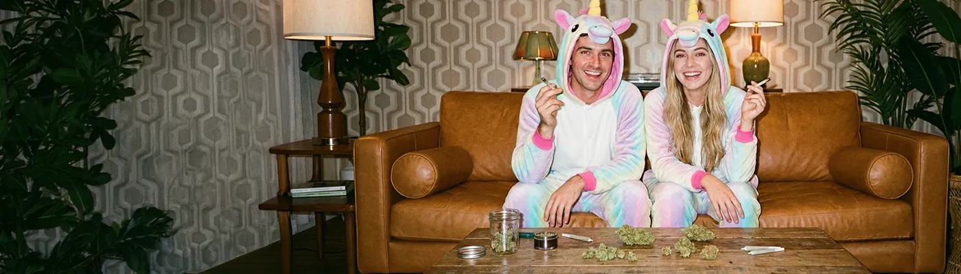 Unicorn Slide background