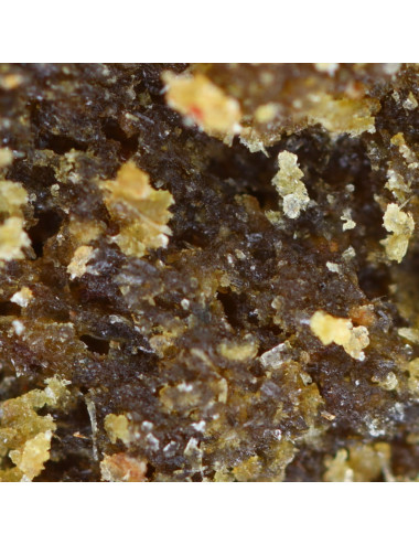 Detalle de resina de marfil con CBD