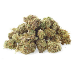 Blue Dream - CBD flor - Easy Weed