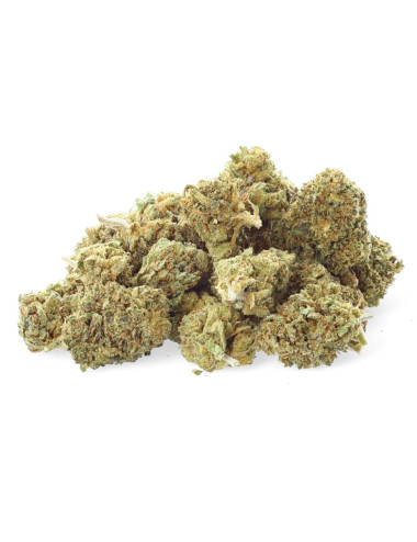 Critical Cheese - Flor de...