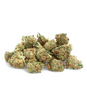Harlequin - CBD Flower - Marfil
