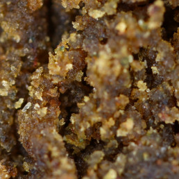 Detalle de la resina de cáñamo