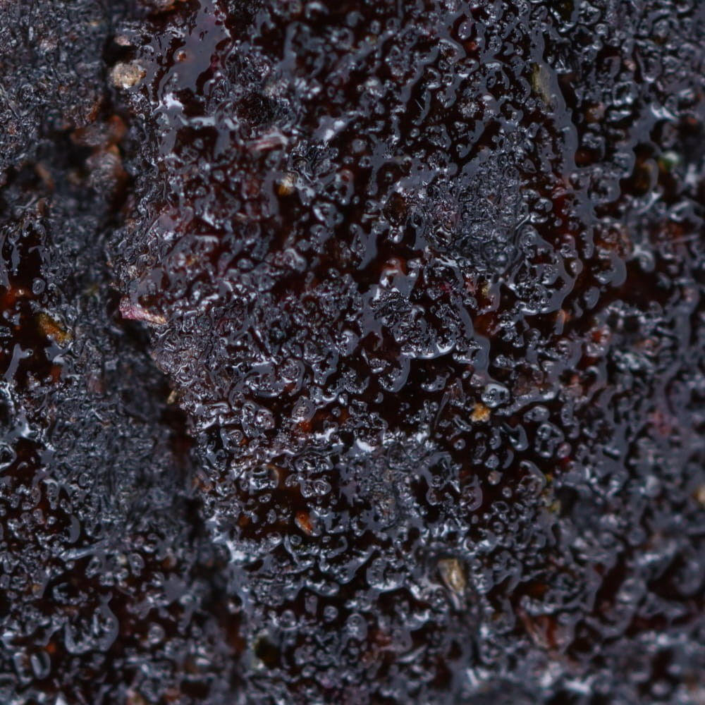 Detalle de resina de marfil