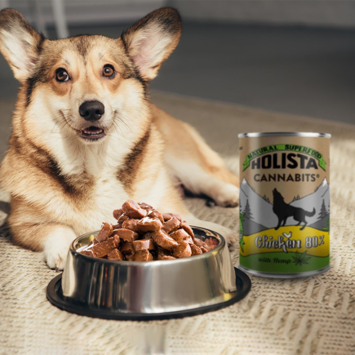 Comida húmeda Premium CBD con pollo para perros - Weedy.fr