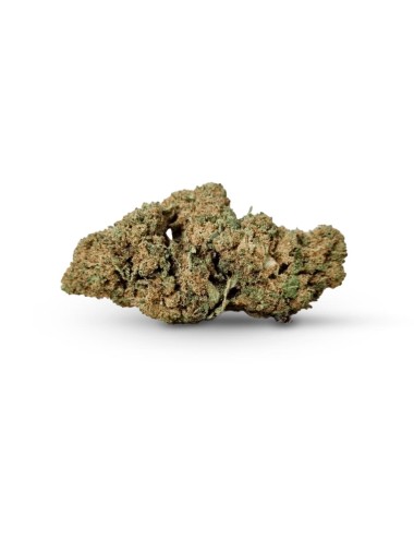 Sour Diesel CBD Invernadero