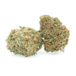 Critical Berries - CBD Flower - Easy Weed