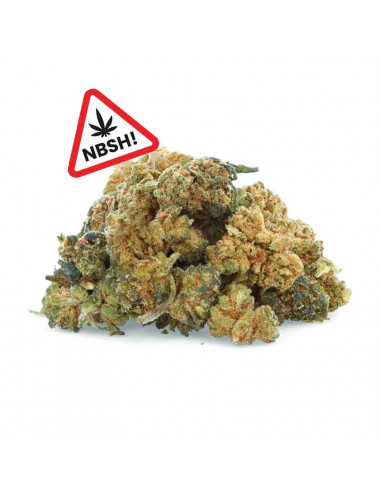 Rainbow Pops - Flores NBSh - Easyweed