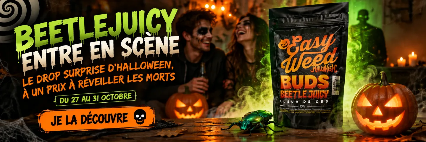Lanzamiento de la flor de CBD «Halloween BeetleJuicy» Lanzamiento de la flor de CBD «Halloween BeetleJuicy» — Lanzamiento de la flor de Halloween «BeetleJuicy»