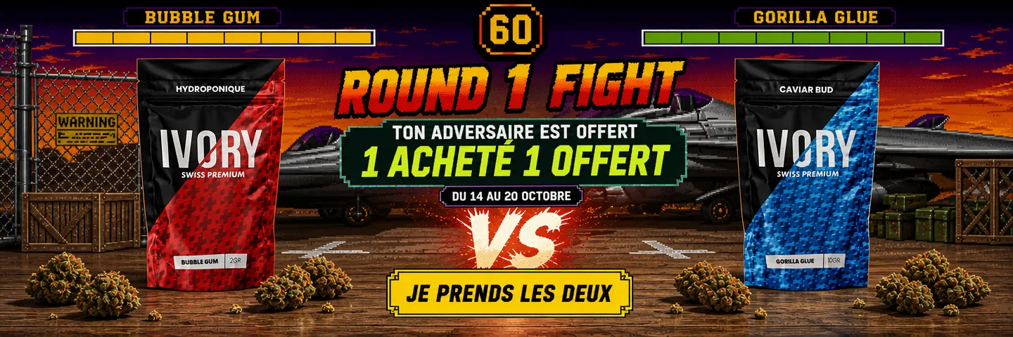 Sortie Street Fighter au cinéma : Round 1 / FIGHT ! — TON ADVERSAIRE EST OFFERT 1 acheté = 1 offert