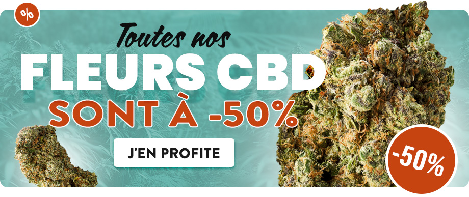 CBD pas Cher Easy Weed Budget