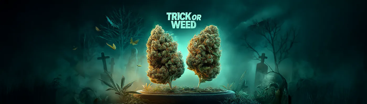 Halloween Slide background