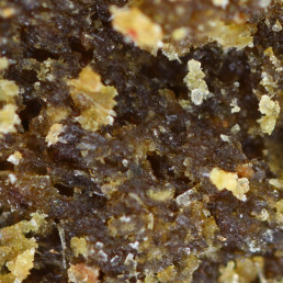 Particolare della resina avorio con CBD