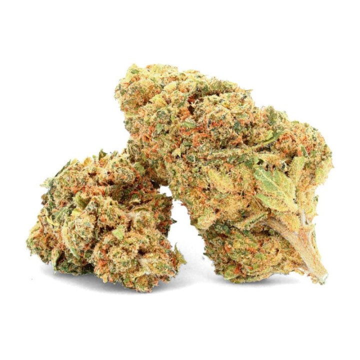 Critical Jack Ivory: fiore di CBD equilibrato e aromatico - Weedy.fr