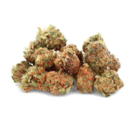 Green Crack: fiore di CBD energizzante e vibrante - Weedy.fr