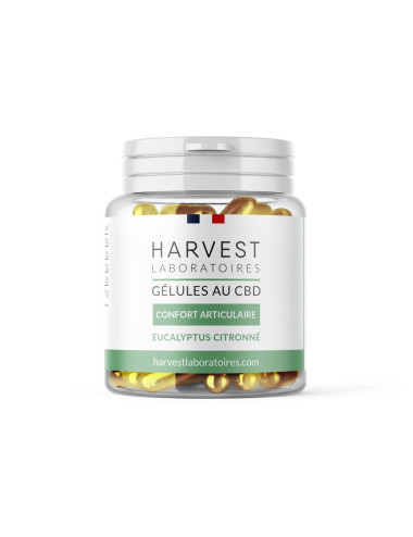 Capsule di CBD - Capsule per le articolazioni...