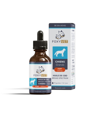 Olio di CBD per cani grandi...