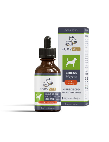Olio di canapa per cani di taglia media