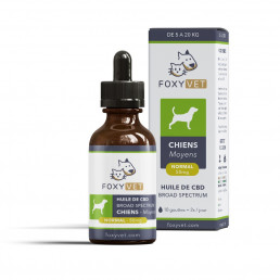 Olio di CBD per cani
