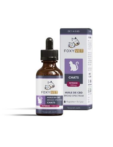 Olio di CBD per gatti