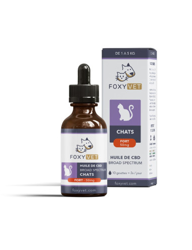 CBD per gatti