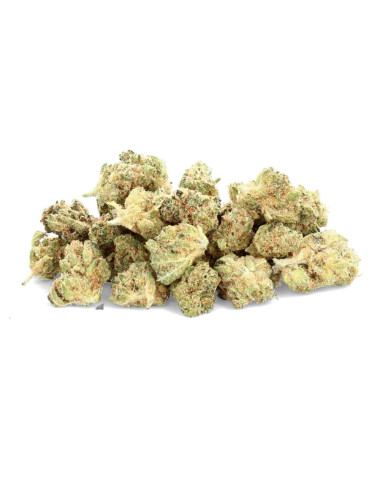 Jack Frost - Fiore CBD - Avorio