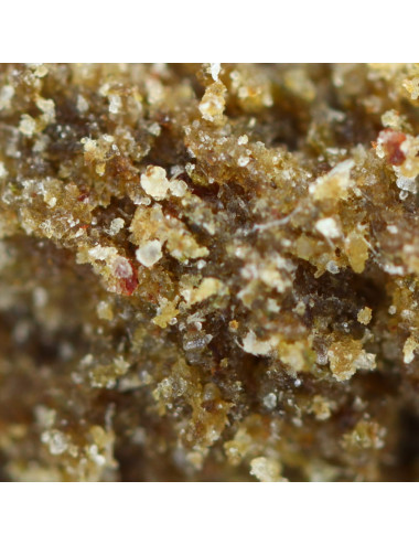Resina CBD avorio