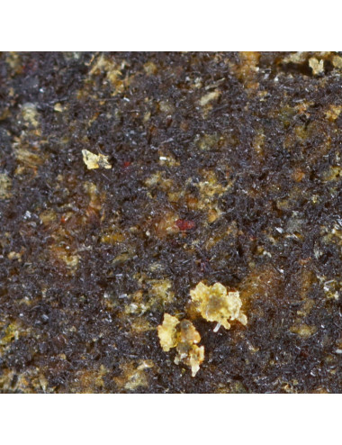 Resina di canapa