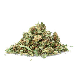 Trim Lemon Kush - Fiore di CBD - Avorio