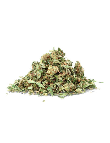 Trim Lemon Kush - Fiore di CBD - Avorio
