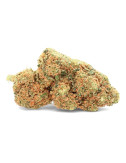 Gelato al mango - Fiore di CBD - Avorio