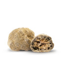 Moon Rock - Fiori di CBD -...