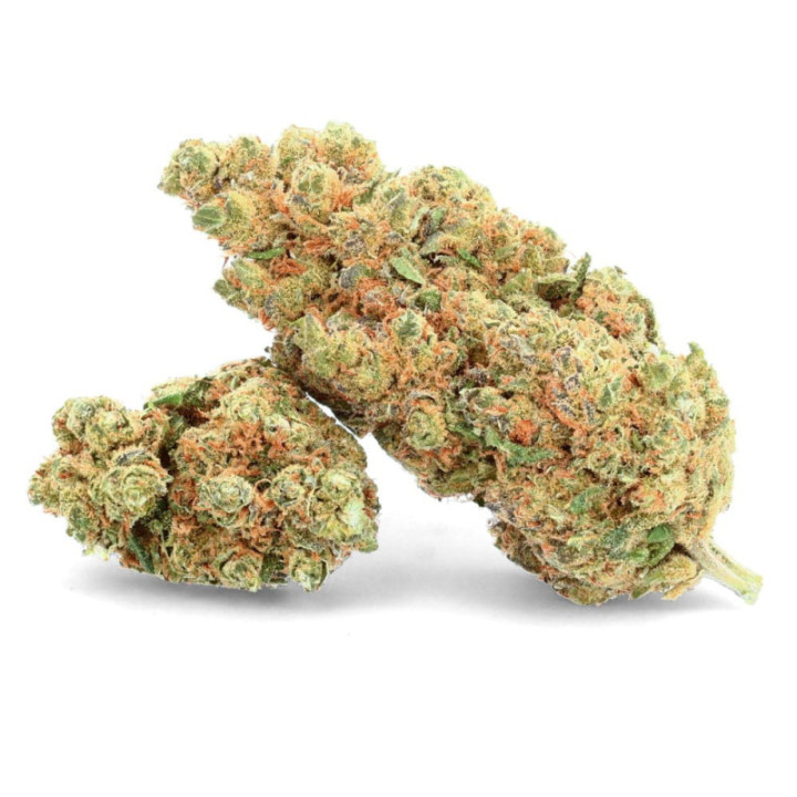 O.G Cookie - Fiore di CBD - Avorio
