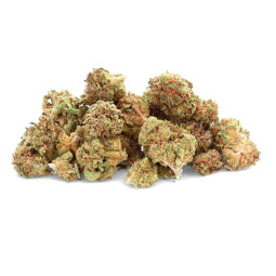 O.G Kush - Fiore di CBD -...