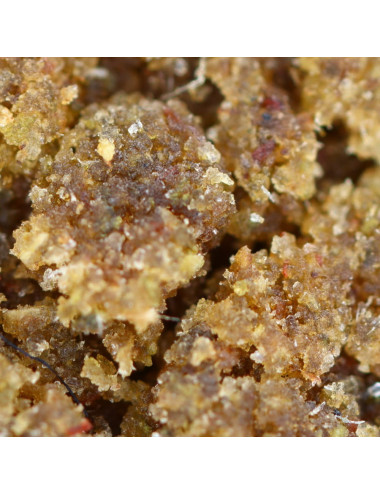 resina di cannabis a marchio avorio