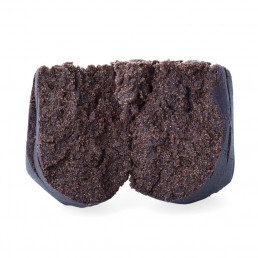 Resina CBD Purple Hash