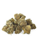Sour Tangie - Fiore di CBD...