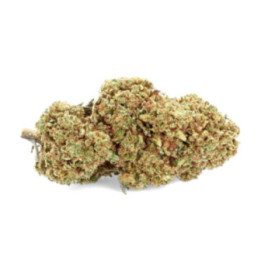 Fiore di CBD Strawberry: un gusto unico, proprietà incredibili - Weedy.fr