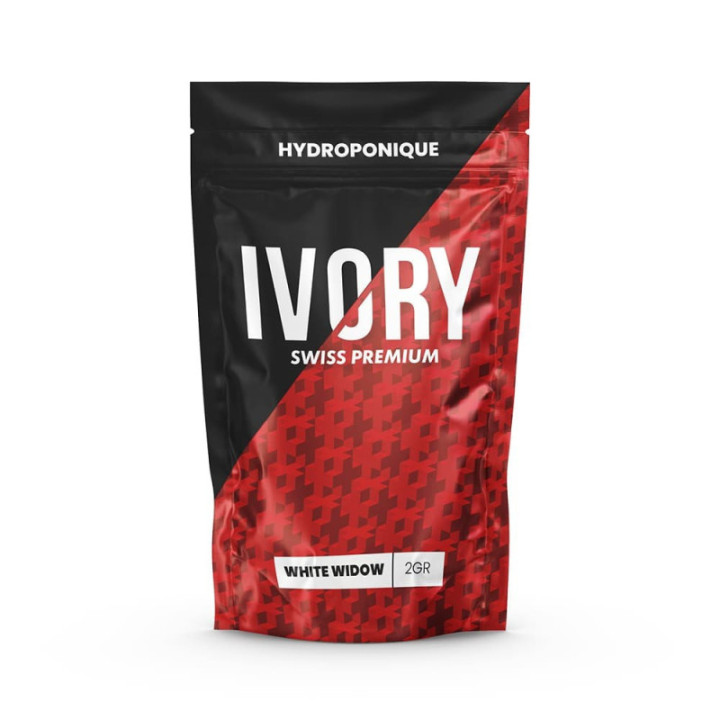 White Widow Ivory: fiore di CBD intenso e mitico - Weedy.fr