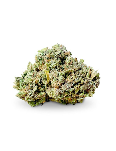 purple punch cbd indoor a buon mercato su weedy.it