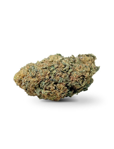 a buon mercato lemon skunk cbd outdoor su weedy.it
