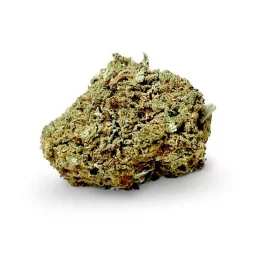 cannatonic cbd indoor a buon mercato su weedy.it